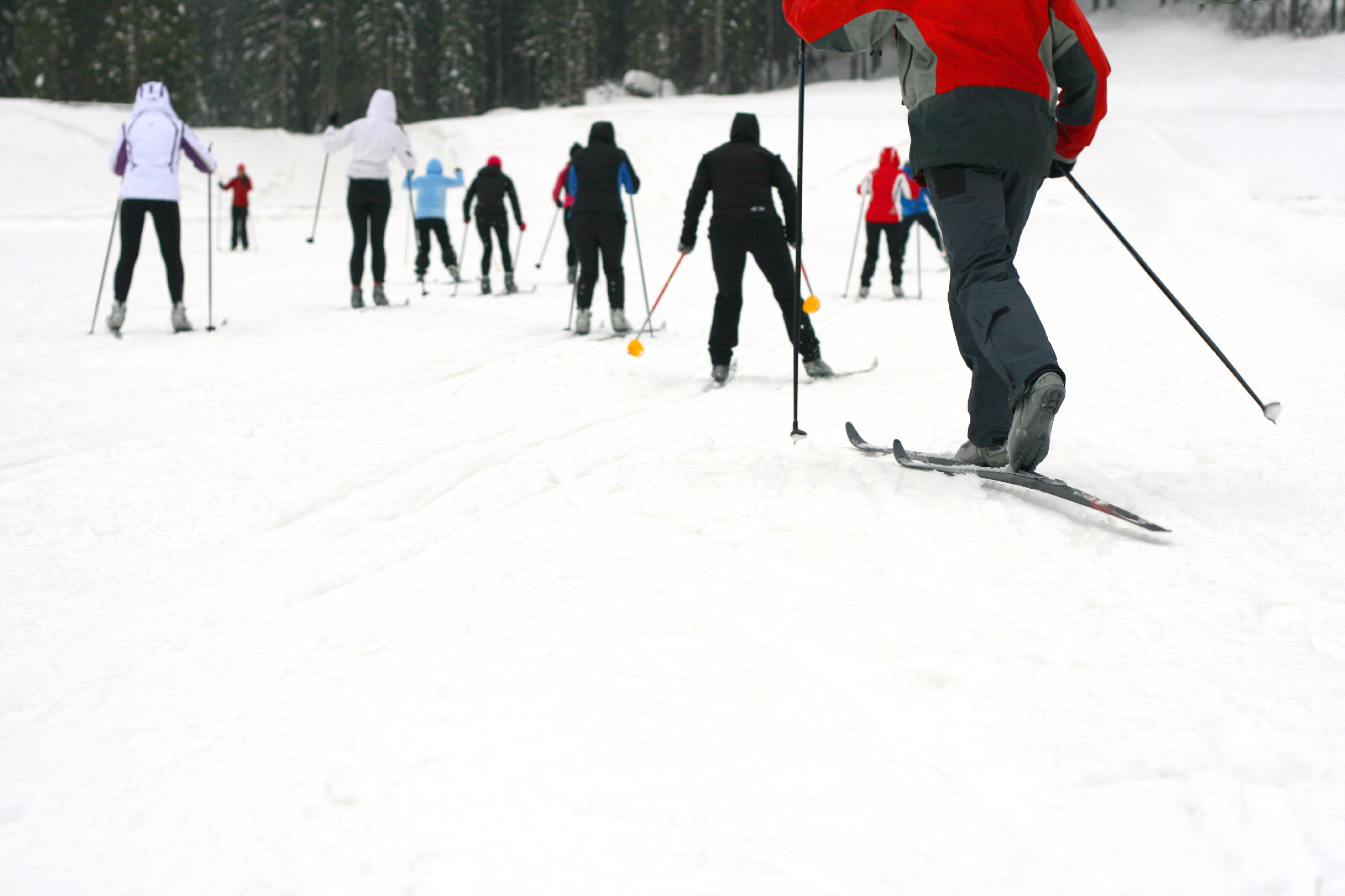 Cross Country Skiing at Mill Woods Golf Course Image