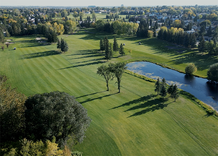 Milly Invitational Trees